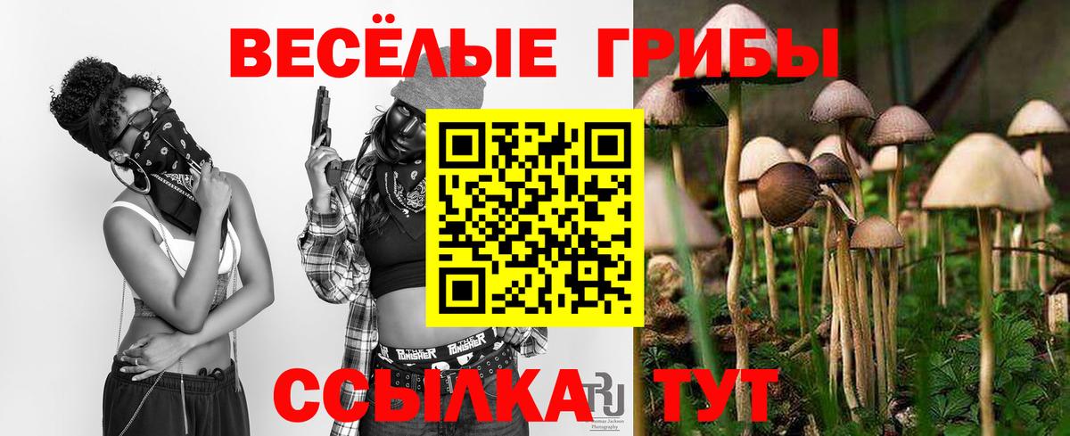 Галлюциногенные грибы мухоморы  Галлюциногенные грибы мицелий  Партизанск  Вход с VPN 