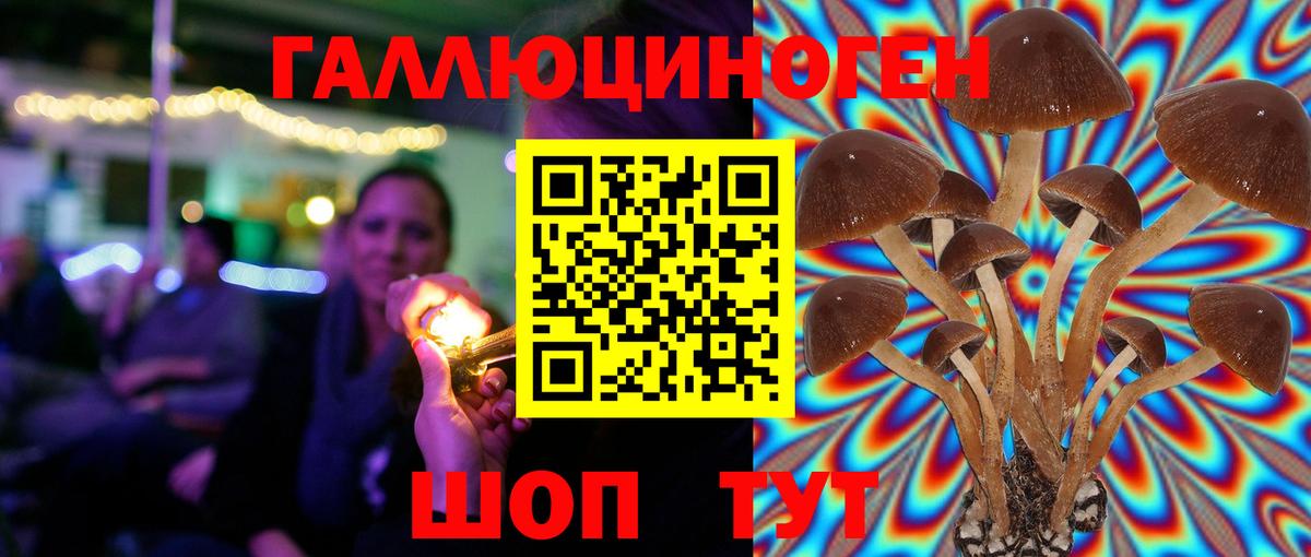 Псилоцибиновые грибы MAGIC MUSHROOMS Партизанск